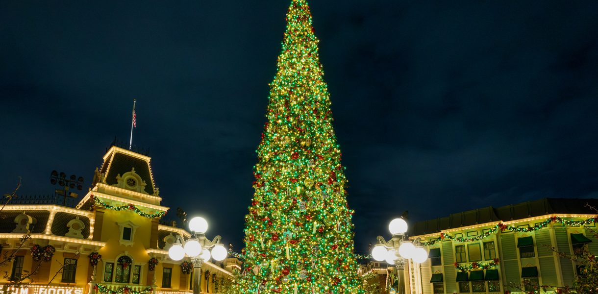 Disneyland Christmas Tree