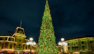 Disneyland Christmas Tree