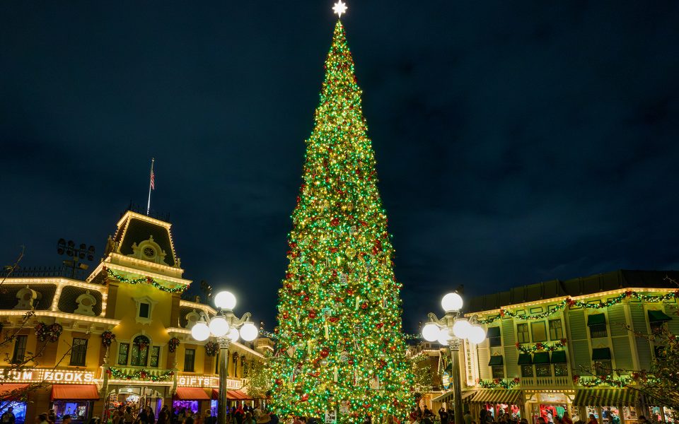 Disneyland Christmas Tree
